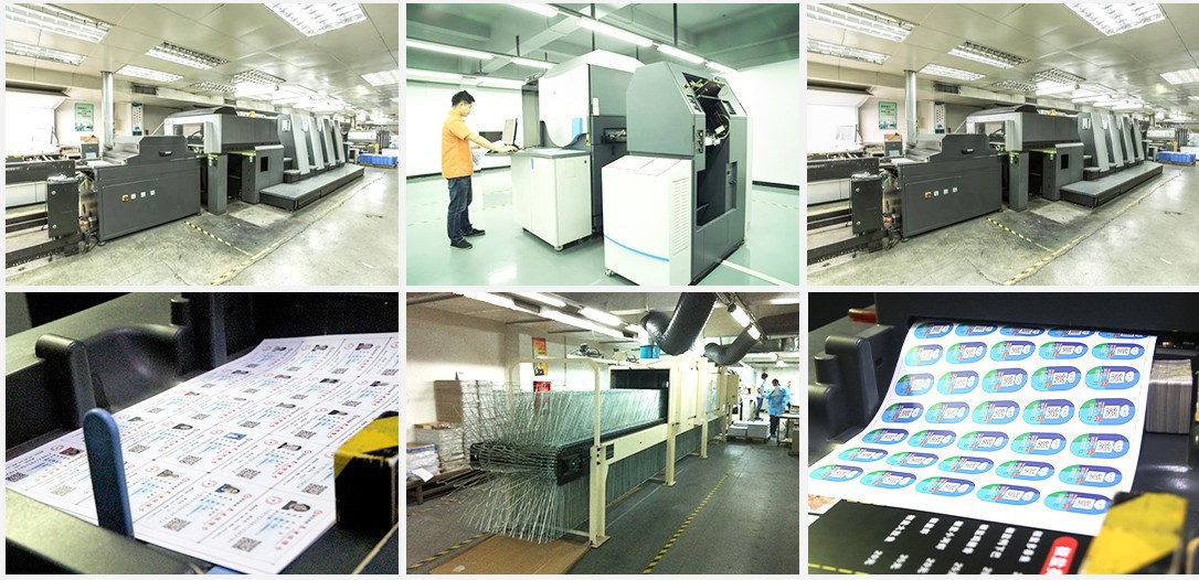 product-1086-526 product-1086-526